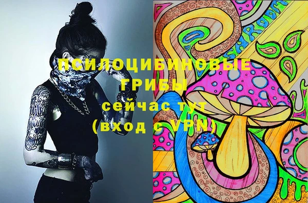 Альфа ПВП Армянск