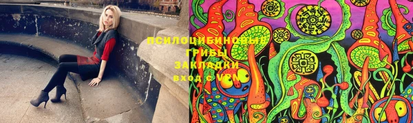 прущая мука Арсеньев