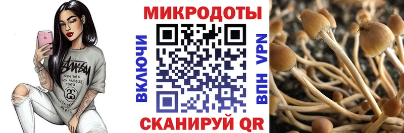 Галлюциногенные грибы MAGIC MUSHROOMS  цена   Верхнеуральск 